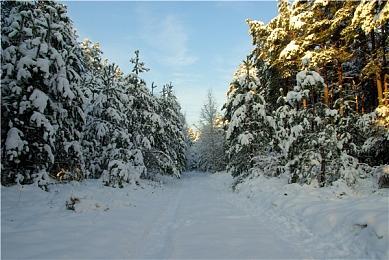 还会延期吗？ Take-two财报再确认《GTA6》发售时间